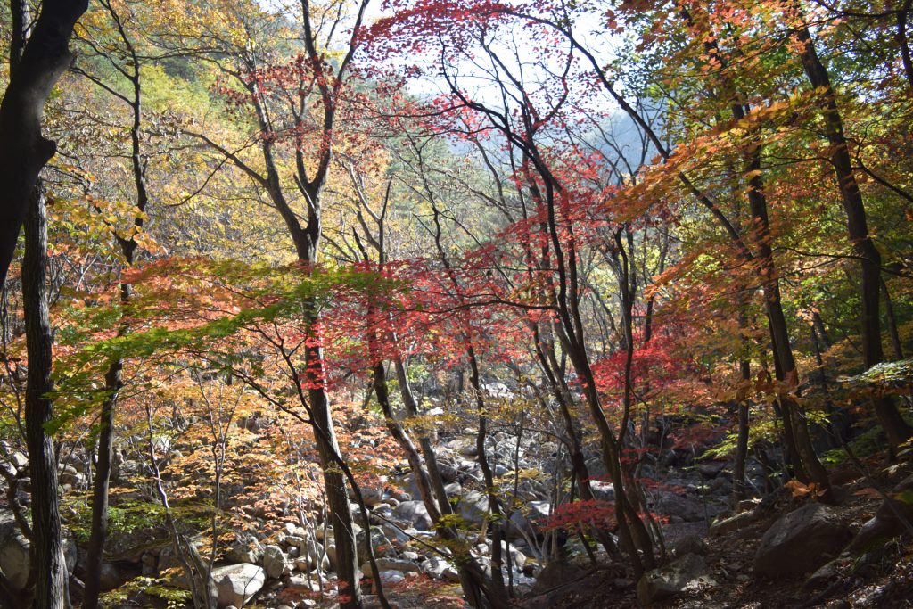 On the way to water fall