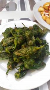 Pimientos de Padrón (fried padron peppers)