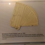 Punched Cards that were used for Survey