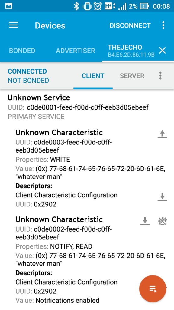 Send anything other than hello and system echoes back.