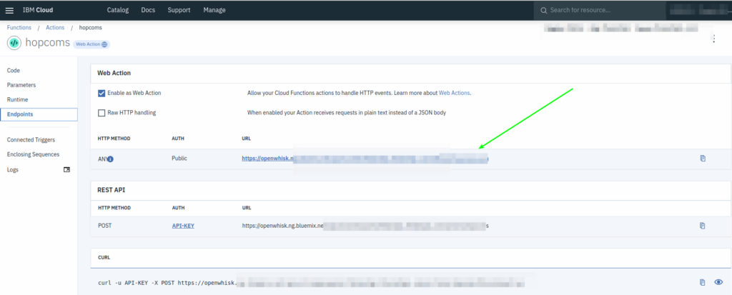 OpenWhisk get web endpoint URL