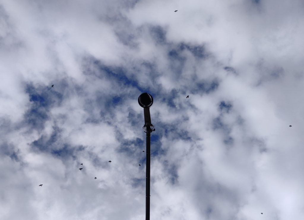 Public CCTV Camera at Cubbon Park, By Yashodhara Udupa