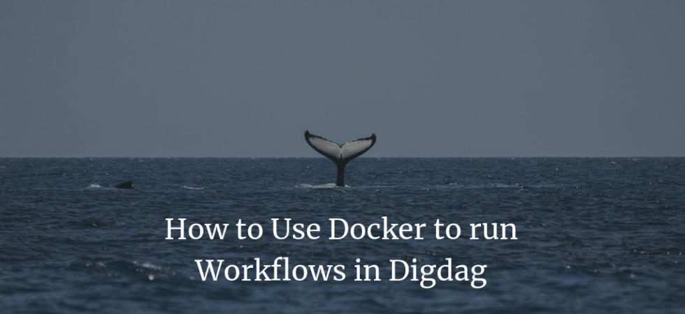 How to Use Docker to run Workflows in Digdag