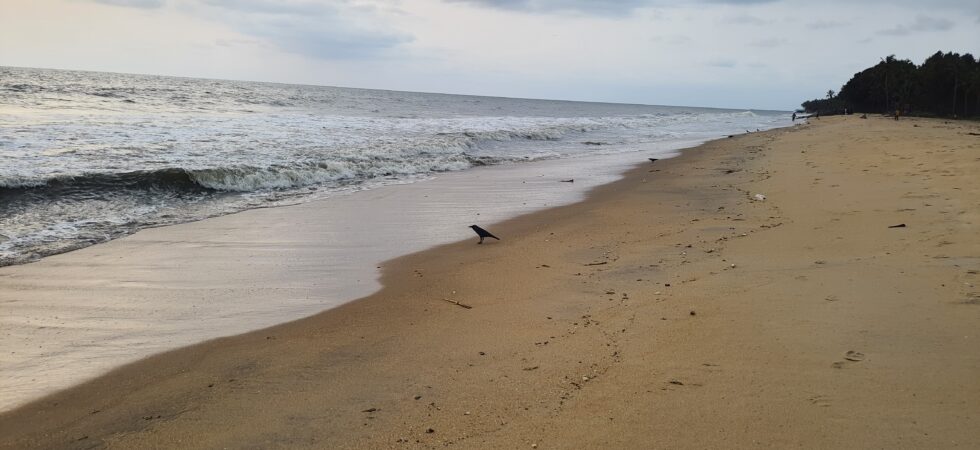 Vadanapally Beach