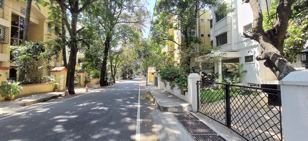 Summer is here. It's been very, very hot outside. Usually, I like to walk to neighborhood shops, parks, etc. It's been almost impossible, except for some streets that are blessed with trees.