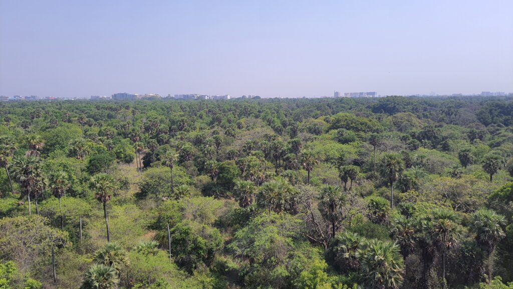 View from one of the class rooms at IITM