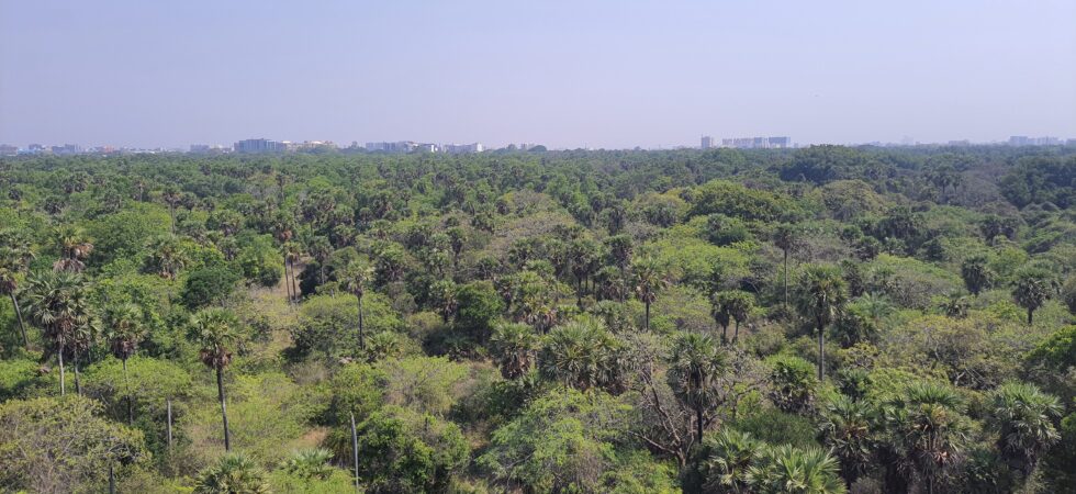 View from one of the class rooms at IITM