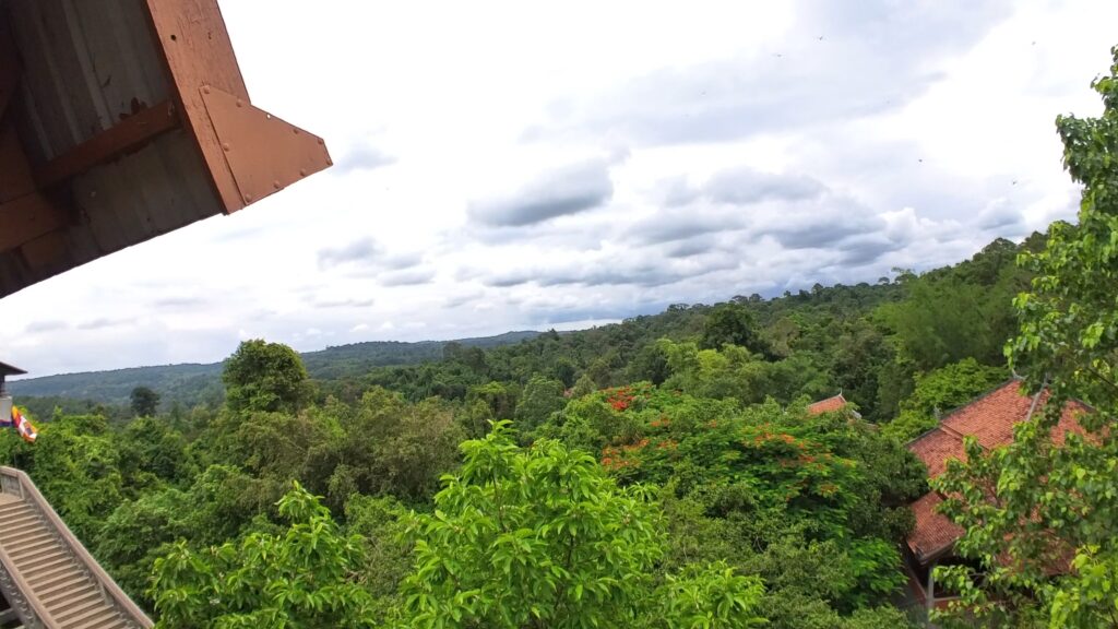 View from Reclining Buddha. I didnt take pictures inside. This is a snapshot from Insta Go.