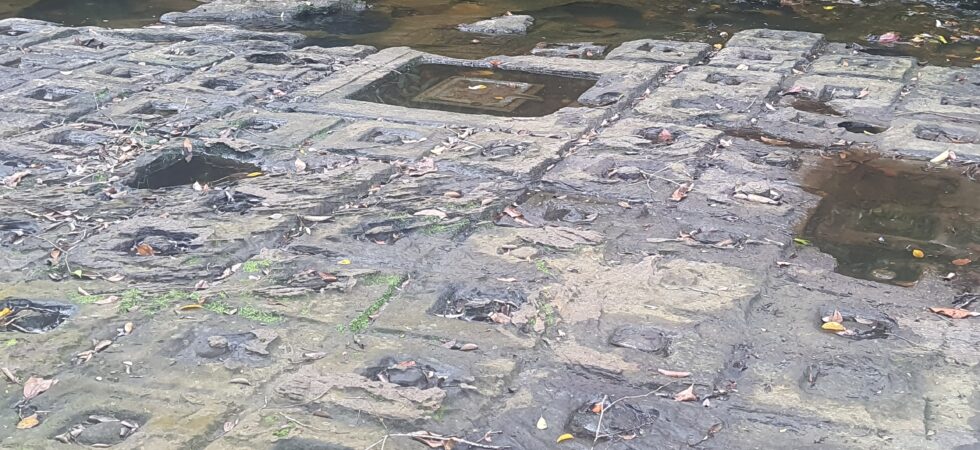 Hundreds of lingas in water