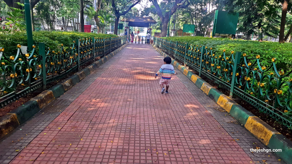 Uma walking around in Richards Park