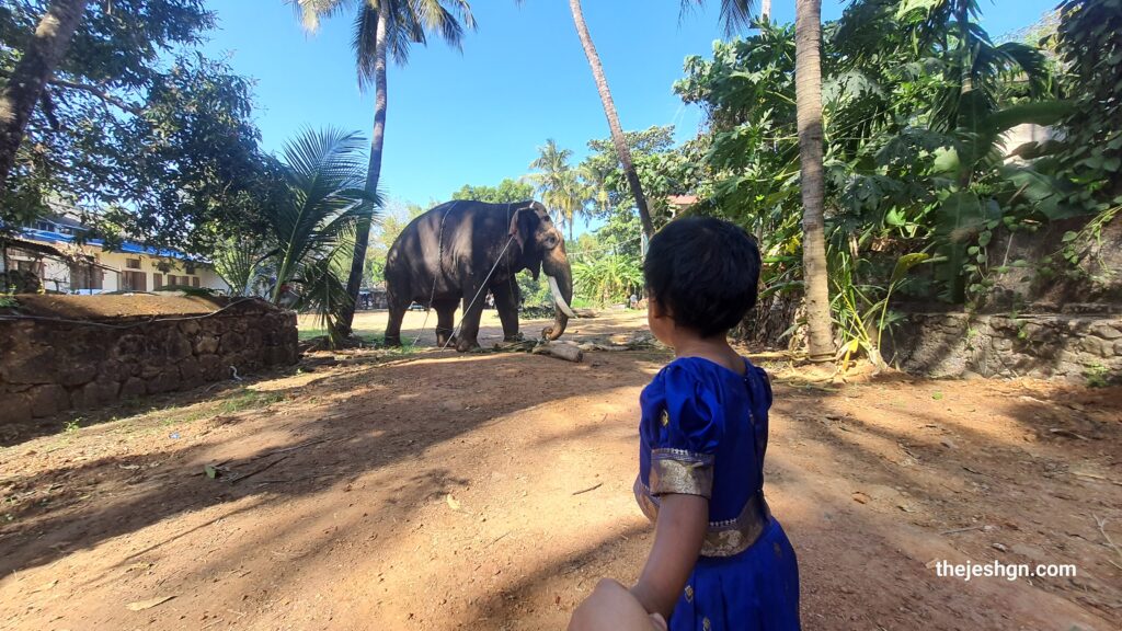 Uma wanted to pet an elephant