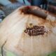 Tender Coconut Cold Brew at Maverick & Farmer Coffee