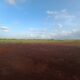 Hesraghatta grasslands