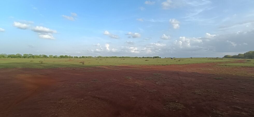 Hesraghatta grasslands